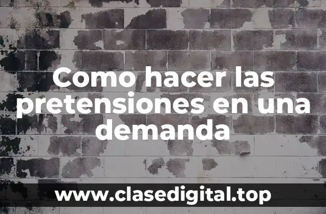 Como hacer las pretensiones en una demanda