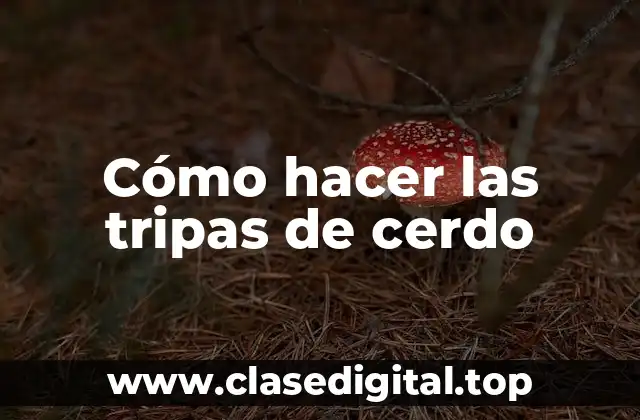 Cómo hacer las tripas de cerdo