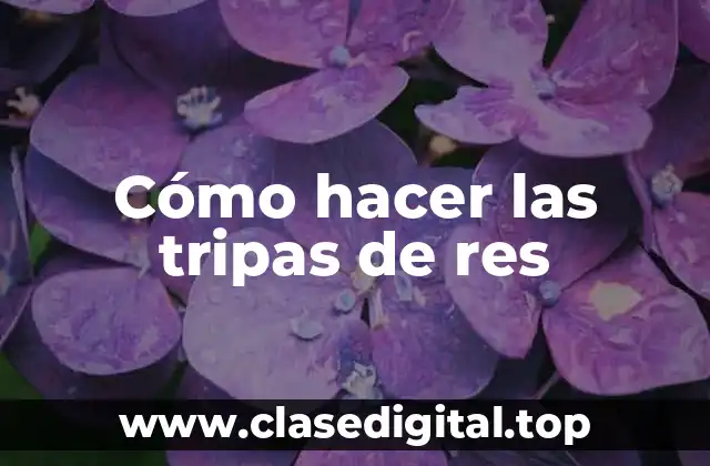 Cómo hacer las tripas de res