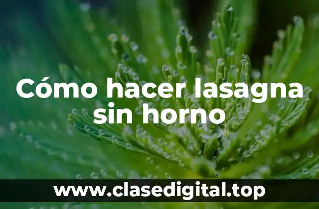 Cómo hacer lasagna sin horno