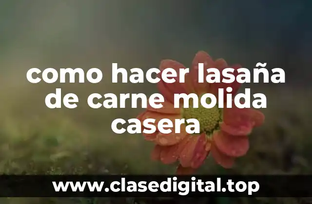 como hacer lasaña de carne molida casera