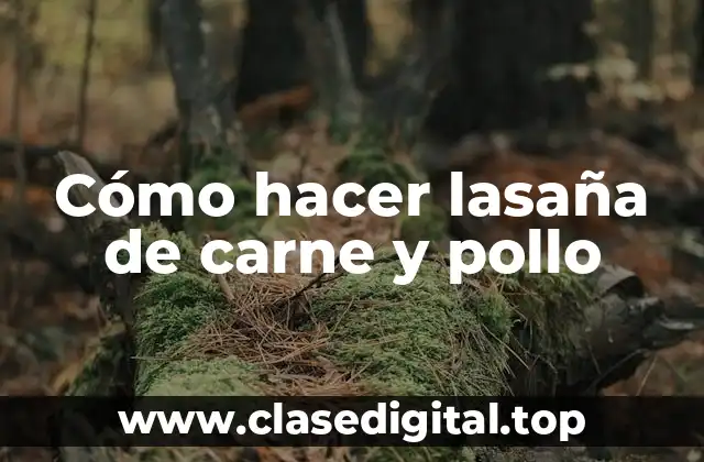 Cómo hacer lasaña de carne y pollo