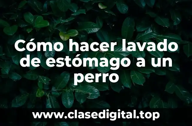 Cómo hacer lavado de estómago a un perro