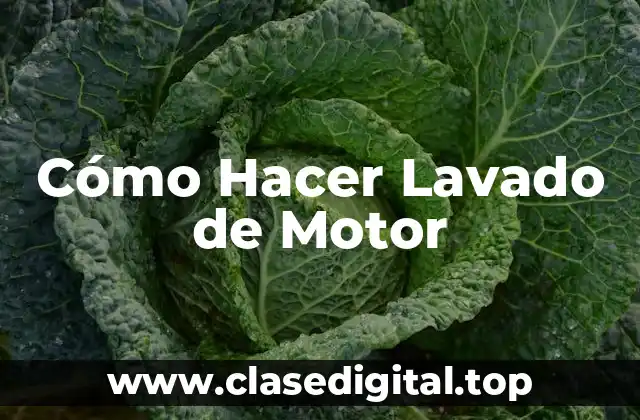Cómo Hacer Lavado de Motor