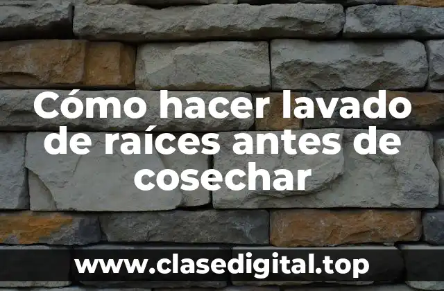 Cómo hacer lavado de raíces antes de cosechar