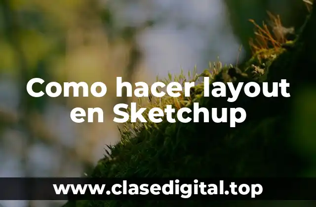 Como hacer layout en Sketchup