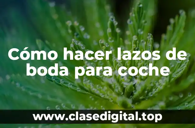 Cómo hacer lazos de boda para coche