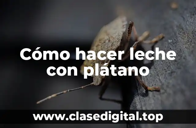 Cómo hacer leche con plátano