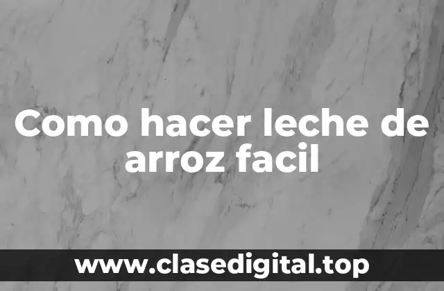 Como hacer leche de arroz facil