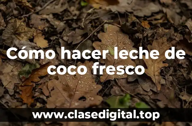 Cómo hacer leche de coco fresco