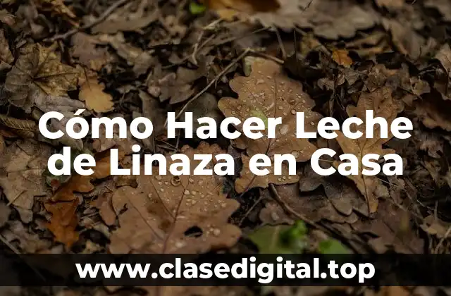 Cómo Hacer Leche de Linaza en Casa