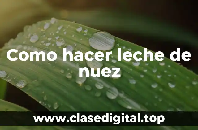 Como hacer leche de nuez