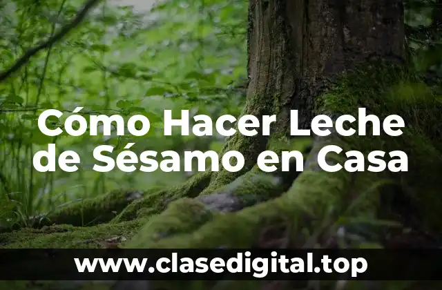 Cómo Hacer Leche de Sésamo en Casa