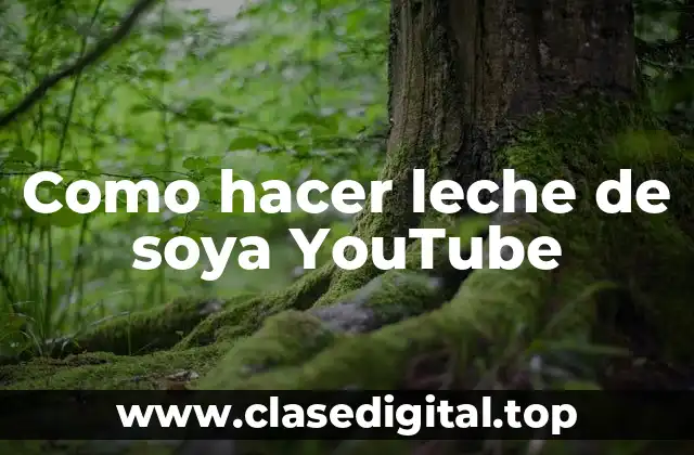 Como hacer leche de soya YouTube