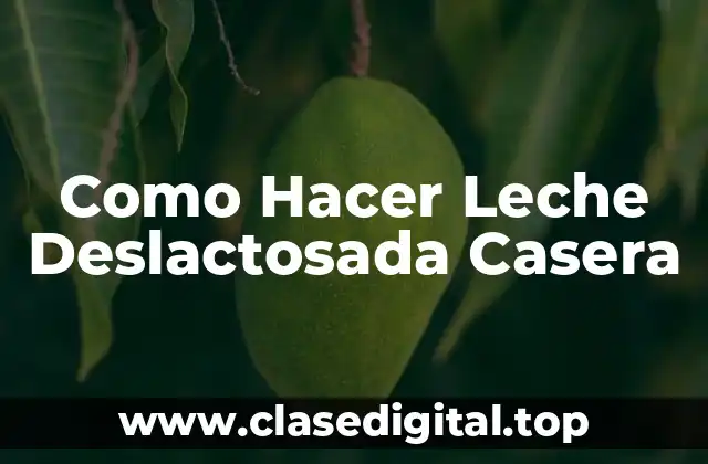 Como Hacer Leche Deslactosada Casera