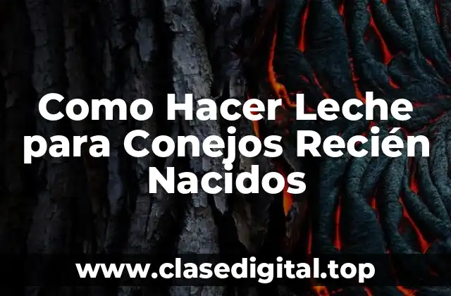 Como Hacer Leche para Conejos Recién Nacidos