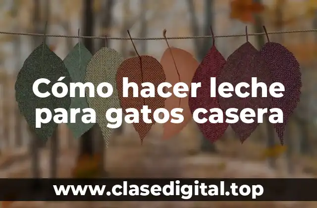 Cómo hacer leche para gatos casera