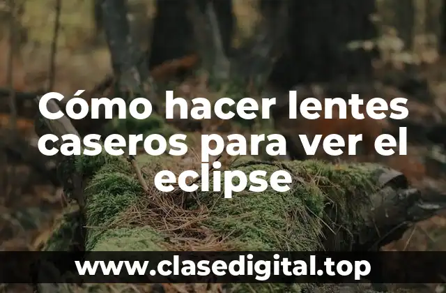 Lentes caseros para ver el eclipse