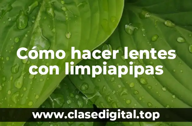 Cómo hacer lentes con limpiapipas