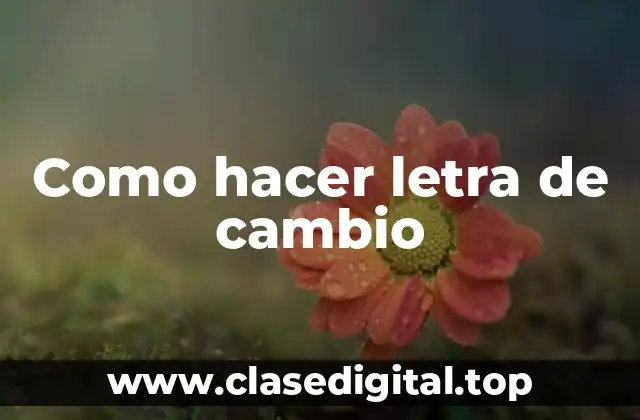 Como hacer letra de cambio