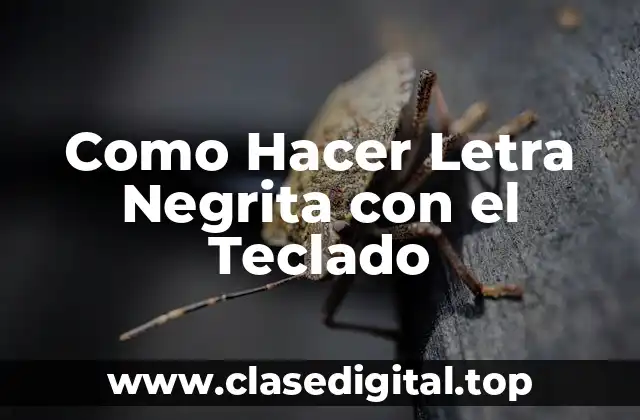 Como Hacer Letra Negrita con el Teclado