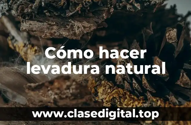 Cómo hacer levadura natural