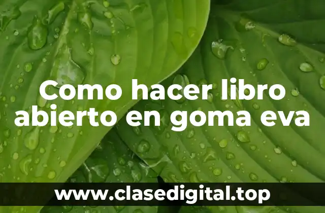 Como hacer libro abierto en goma eva