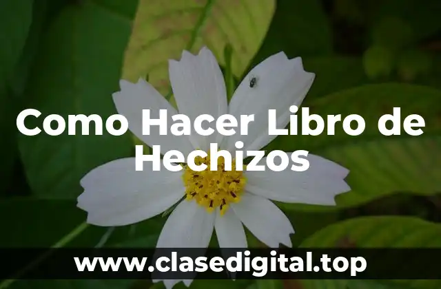 Como Hacer Libro de Hechizos