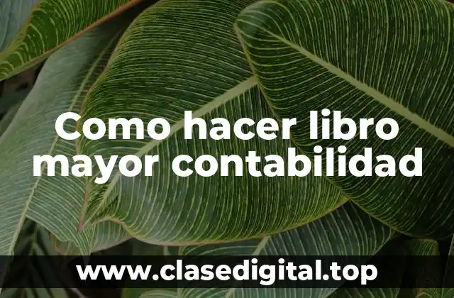 Como hacer libro mayor contabilidad
