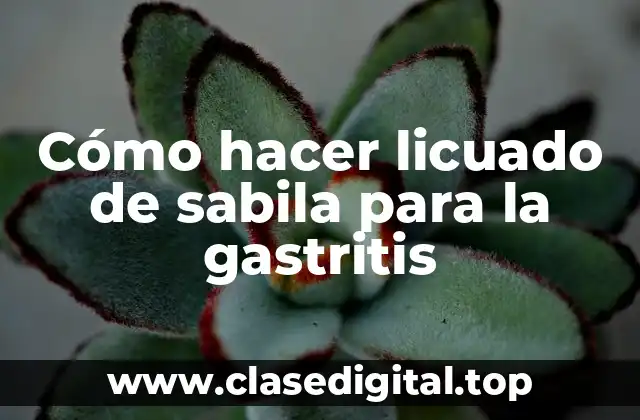 ¿Qué es el licuado de sabila y para qué sirve en la gastritis?