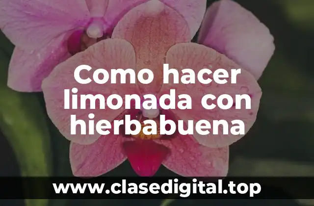 Como hacer limonada con hierbabuena