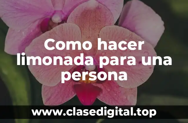 Como hacer limonada para una persona