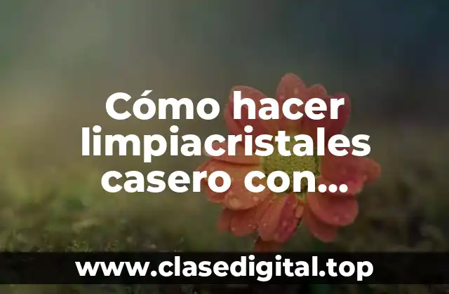 ¿Qué es el limpiacristales casero con amoniaco?