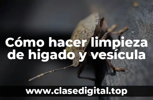 Cómo hacer limpieza de higado y vesícula