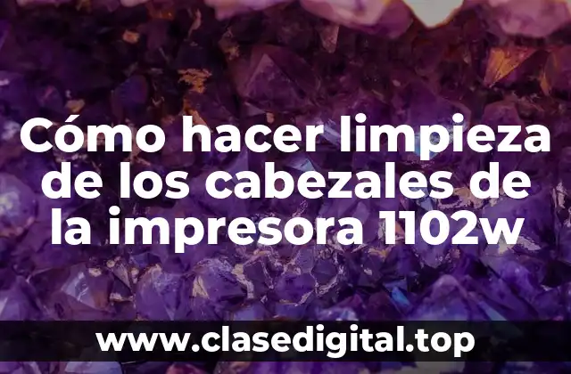 Cómo hacer limpieza de los cabezales de la impresora 1102w