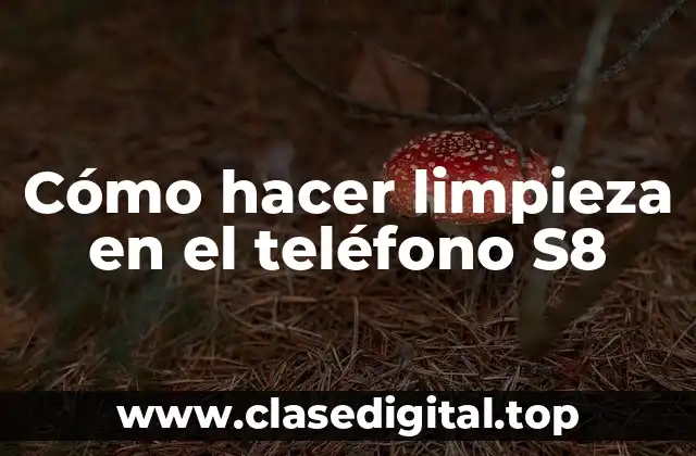 Cómo hacer limpieza en el teléfono S8