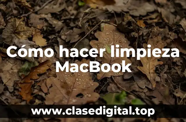 Cómo hacer limpieza MacBook