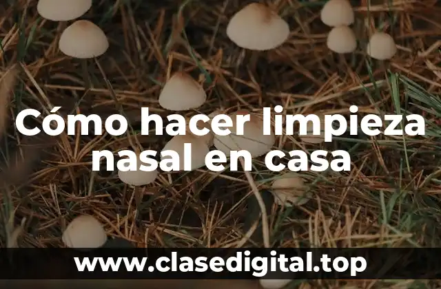 Cómo hacer limpieza nasal en casa