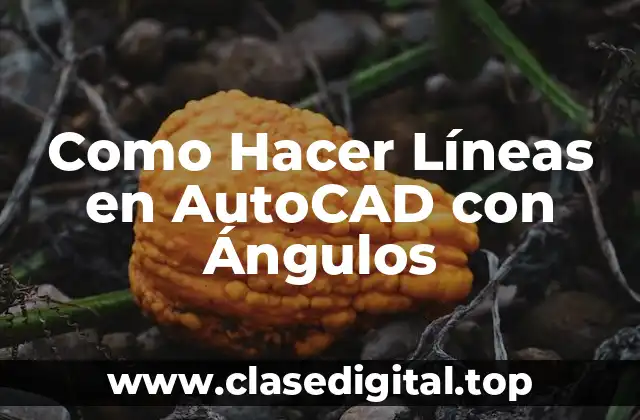 Como Hacer Líneas en AutoCAD con Ángulos