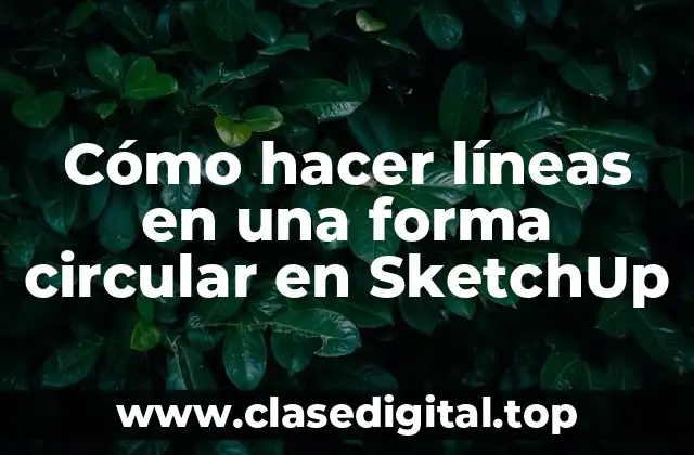 Cómo hacer líneas en una forma circular en SketchUp