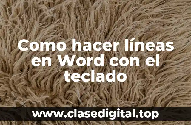 ¿Qué son las líneas en Word y cómo se utilizan?