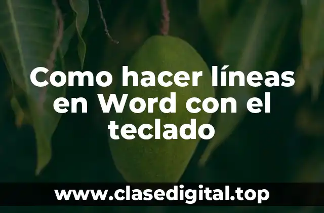 Como hacer líneas en Word con el teclado