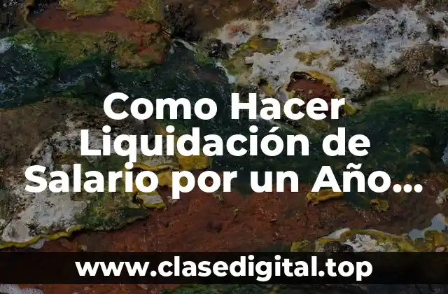 ¿Qué es la Liquidación de Salario por un Año en Paraguay?