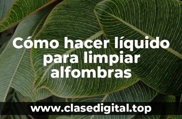 Cómo hacer líquido para limpiar alfombras