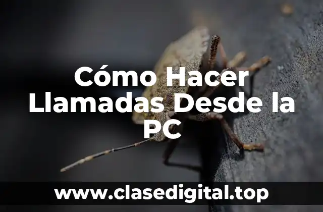 Cómo Hacer Llamadas Desde la PC