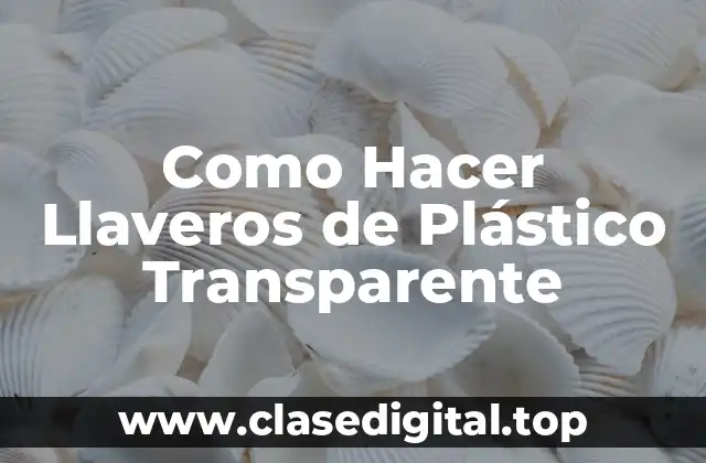 ¿Qué son Llaveros de Plástico Transparente y para qué Sirven?