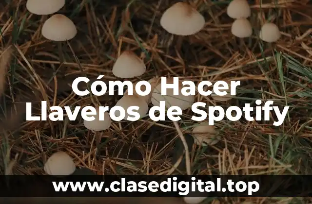 Cómo Hacer Llaveros de Spotify