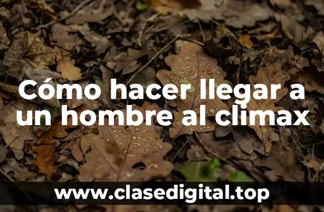 Cómo hacer llegar a un hombre al climax