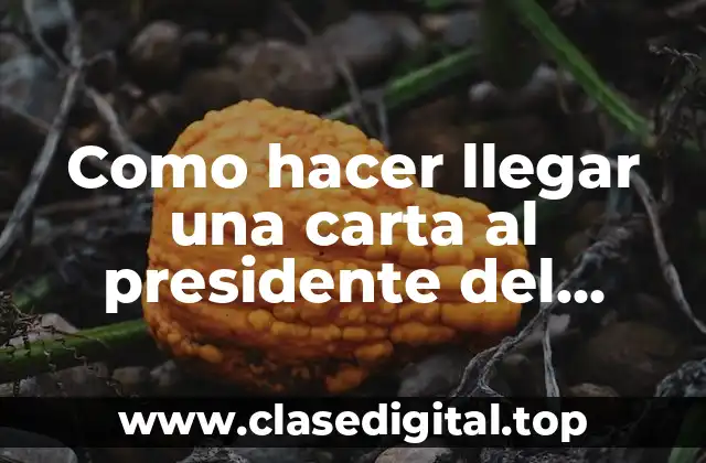 Como hacer llegar una carta al presidente del gobierno