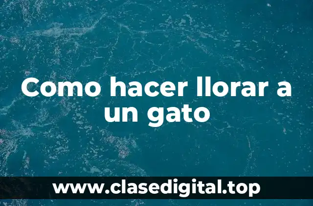 Como hacer llorar a un gato